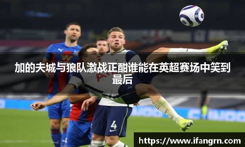 威廉希尔体育